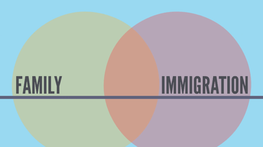 Family & Immigration Law